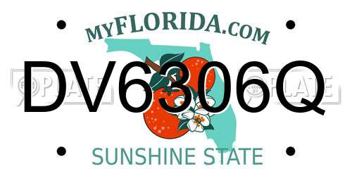 DV6306Q Florida License Plate