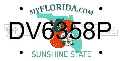 DV6358P Florida License Plate