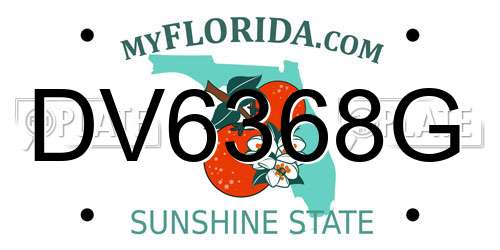 DV6368G Florida License Plate