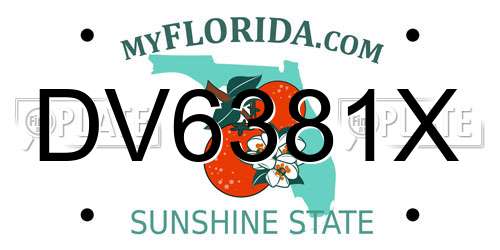 DV6381X Florida License Plate