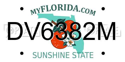 DV6382M Florida License Plate