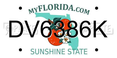DV6386K Florida License Plate