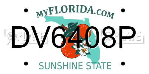 DV6408P Florida License Plate