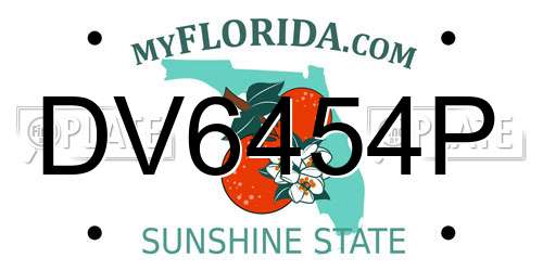 DV6454P Florida License Plate