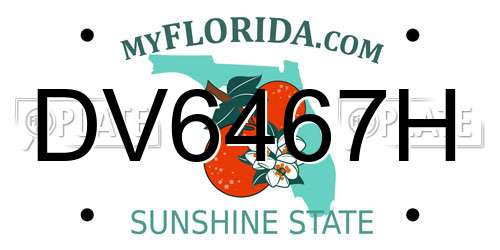 DV6467H Florida License Plate
