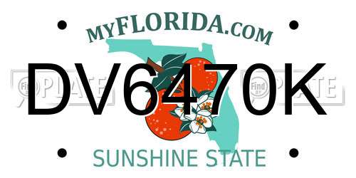 DV6470K Florida License Plate