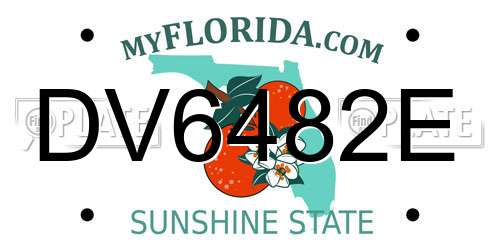 DV6482E Florida License Plate