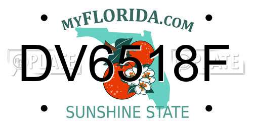 DV6518F Florida License Plate