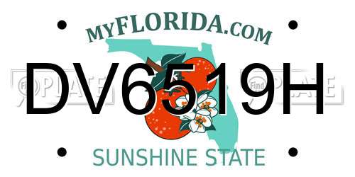 DV6519H Florida License Plate