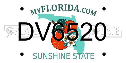 DV6520 Florida License Plate