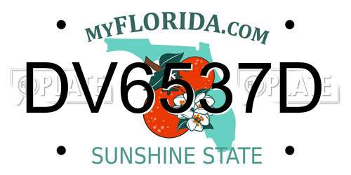 DV6537D Florida License Plate
