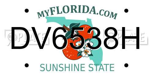 DV6538H Florida License Plate