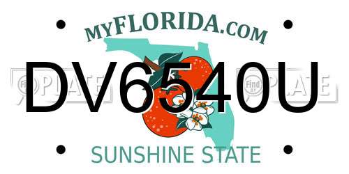 DV6540U Florida License Plate