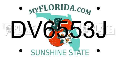 DV6553J Florida License Plate