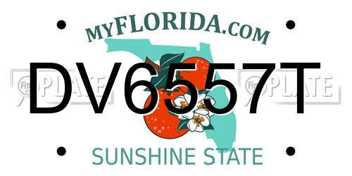 DV6557T Florida License Plate