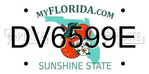 DV6599E Florida License Plate