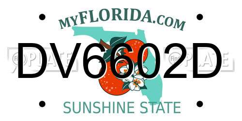 DV6602D Florida License Plate