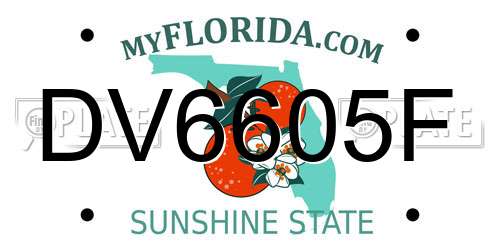 DV6605F Florida License Plate