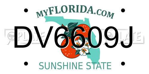 DV6609J Florida License Plate