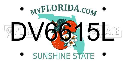 DV6615L Florida License Plate
