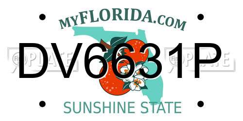 DV6631P Florida License Plate