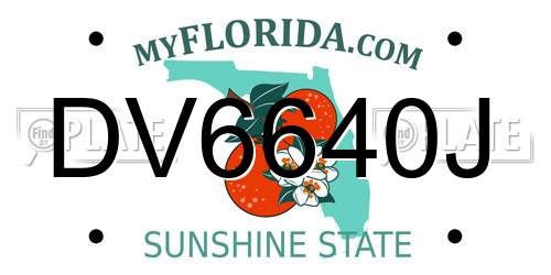 DV6640J Florida License Plate