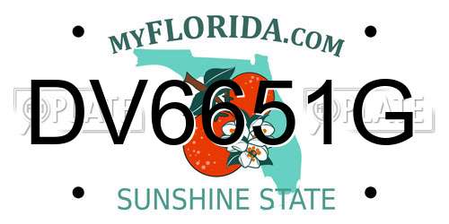 DV6651G Florida License Plate