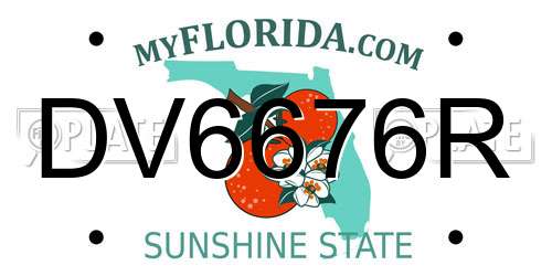 DV6676R Florida License Plate
