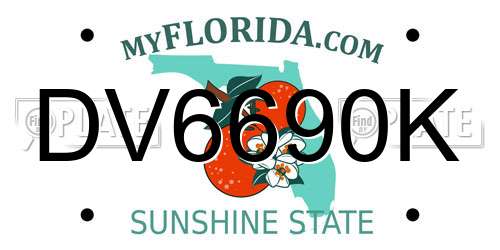 DV6690K Florida License Plate
