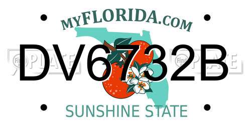 DV6732B Florida License Plate