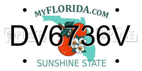 DV6736V Florida License Plate