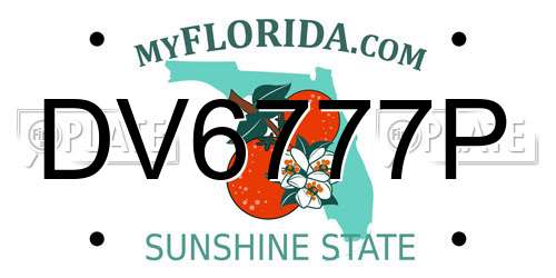 DV6777P Florida License Plate