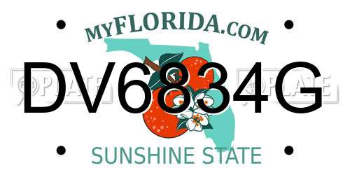DV6834G Florida License Plate