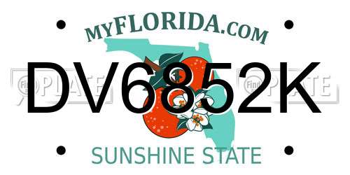 DV6852K Florida License Plate