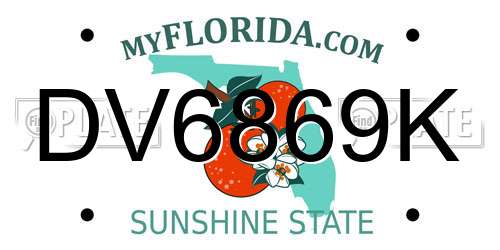 DV6869K Florida License Plate