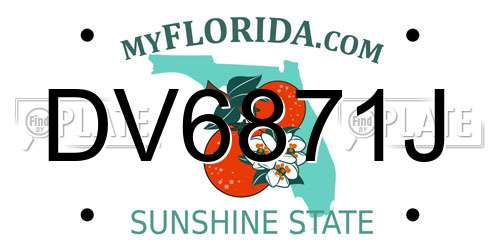 DV6871J Florida License Plate