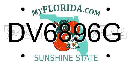 DV6896G Florida License Plate
