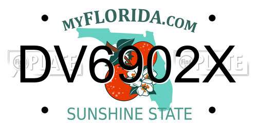 DV6902X Florida License Plate