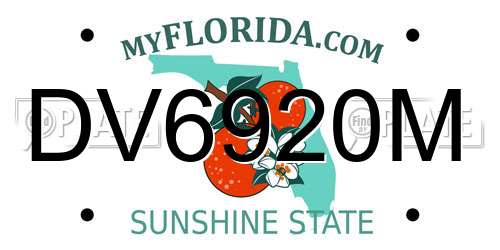 DV6920M Florida License Plate