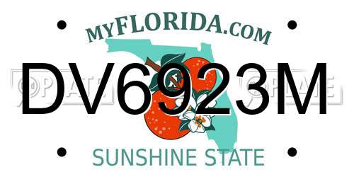 DV6923M Florida License Plate