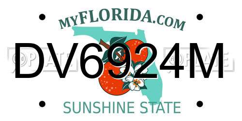 DV6924M Florida License Plate