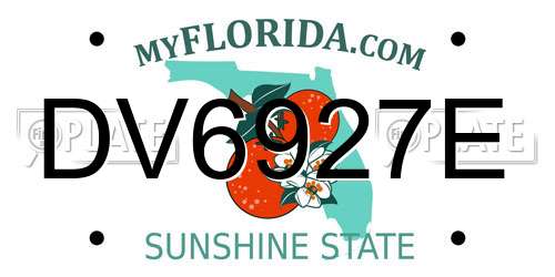 DV6927E Florida License Plate