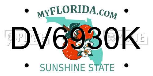 DV6930K Florida License Plate