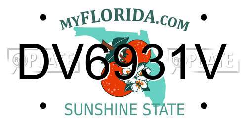 DV6931V Florida License Plate