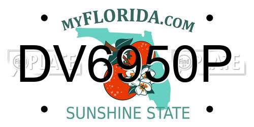 DV6950P Florida License Plate