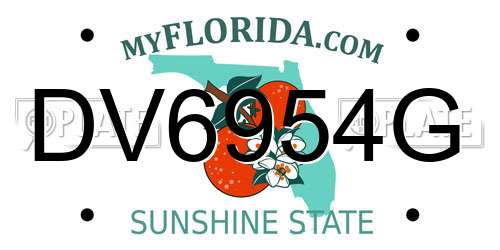 DV6954G Florida License Plate