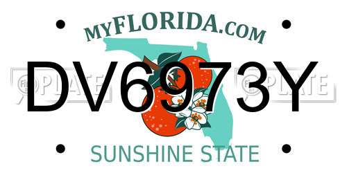 DV6973Y Florida License Plate