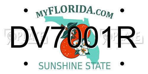 DV7001R Florida License Plate