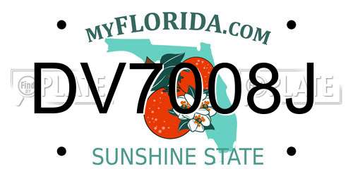 DV7008J Florida License Plate