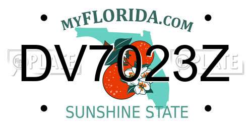 DV7023Z Florida License Plate